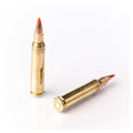 223 Rem 55gr V-Max 55gr Polymer Tip EPN