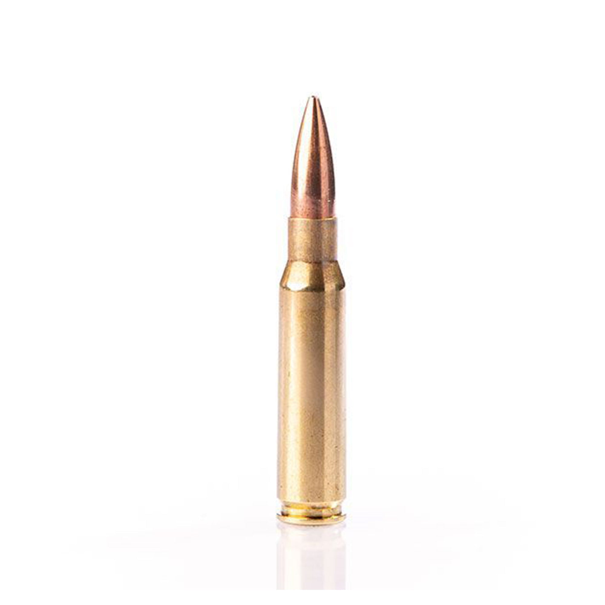 308 Win 175gr HPBT Exacta Match