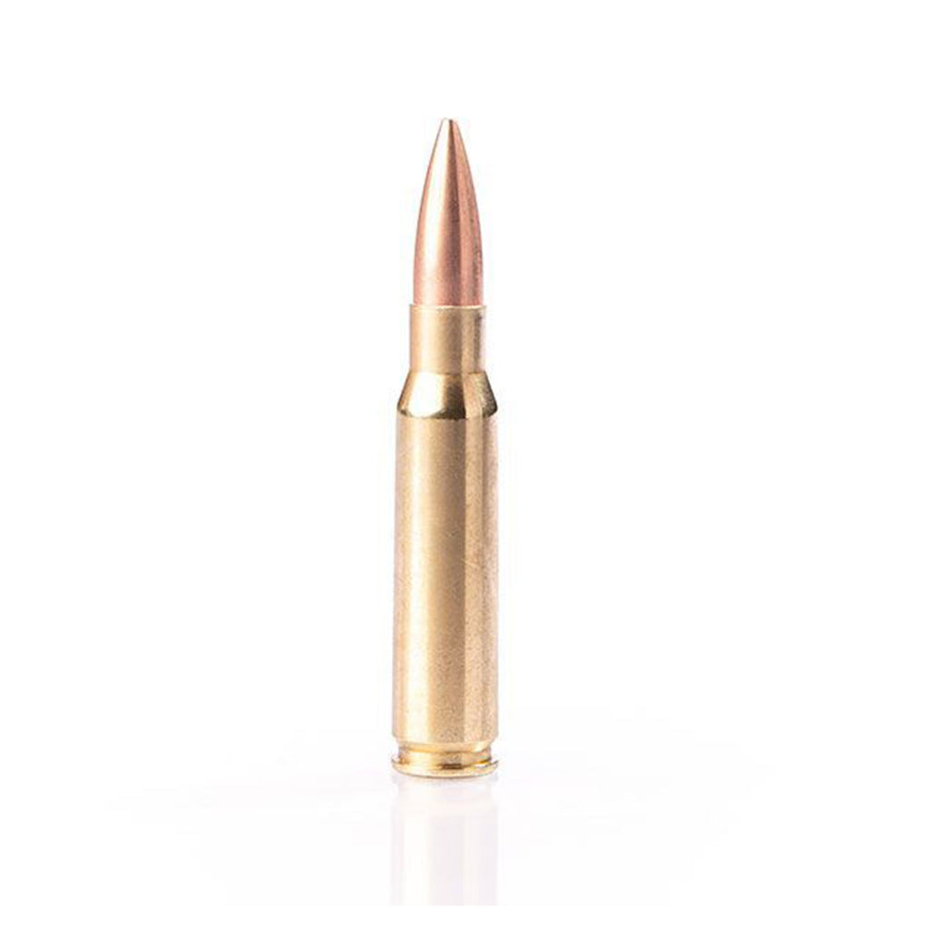 308 Win 168gr BTHP Exacta Match