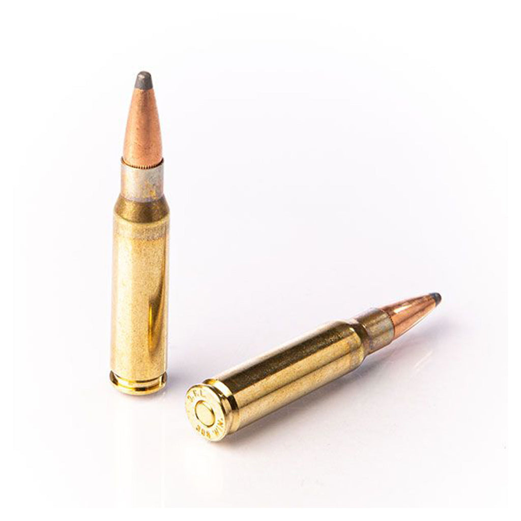 308 Win 180gr SP