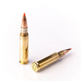 308 Win 150gr Sst
