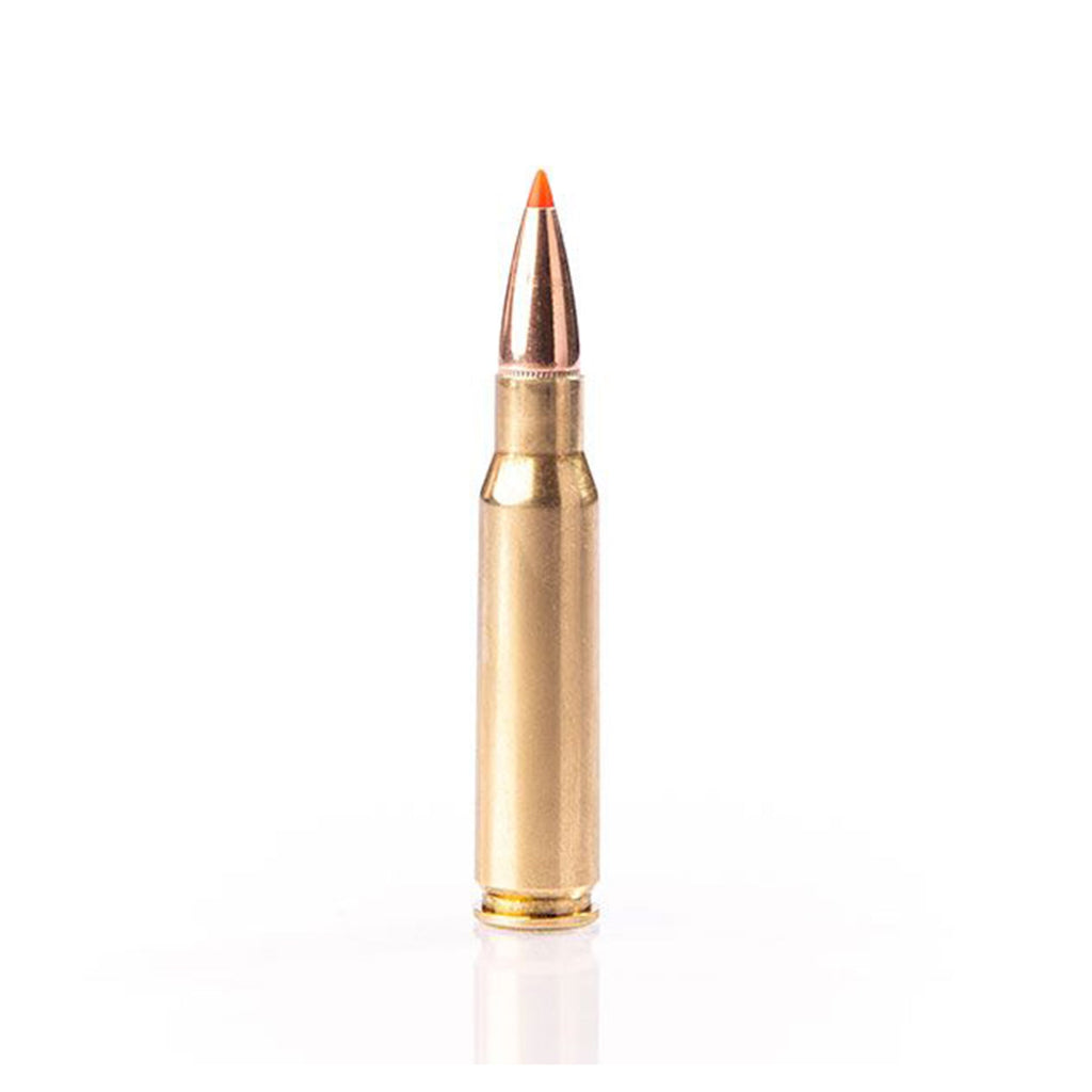 308 Win 180gr Sst