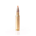 308 Win 180gr Sst