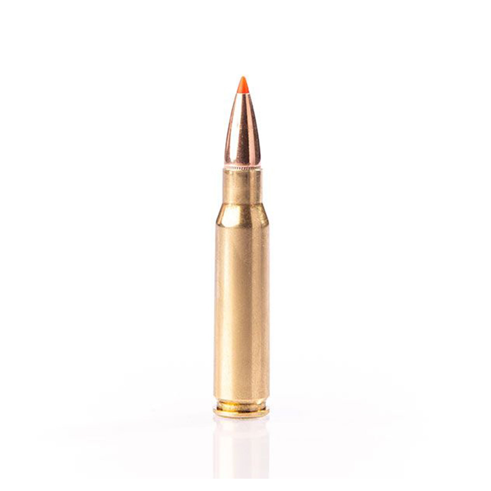 308 Win 180gr Sst