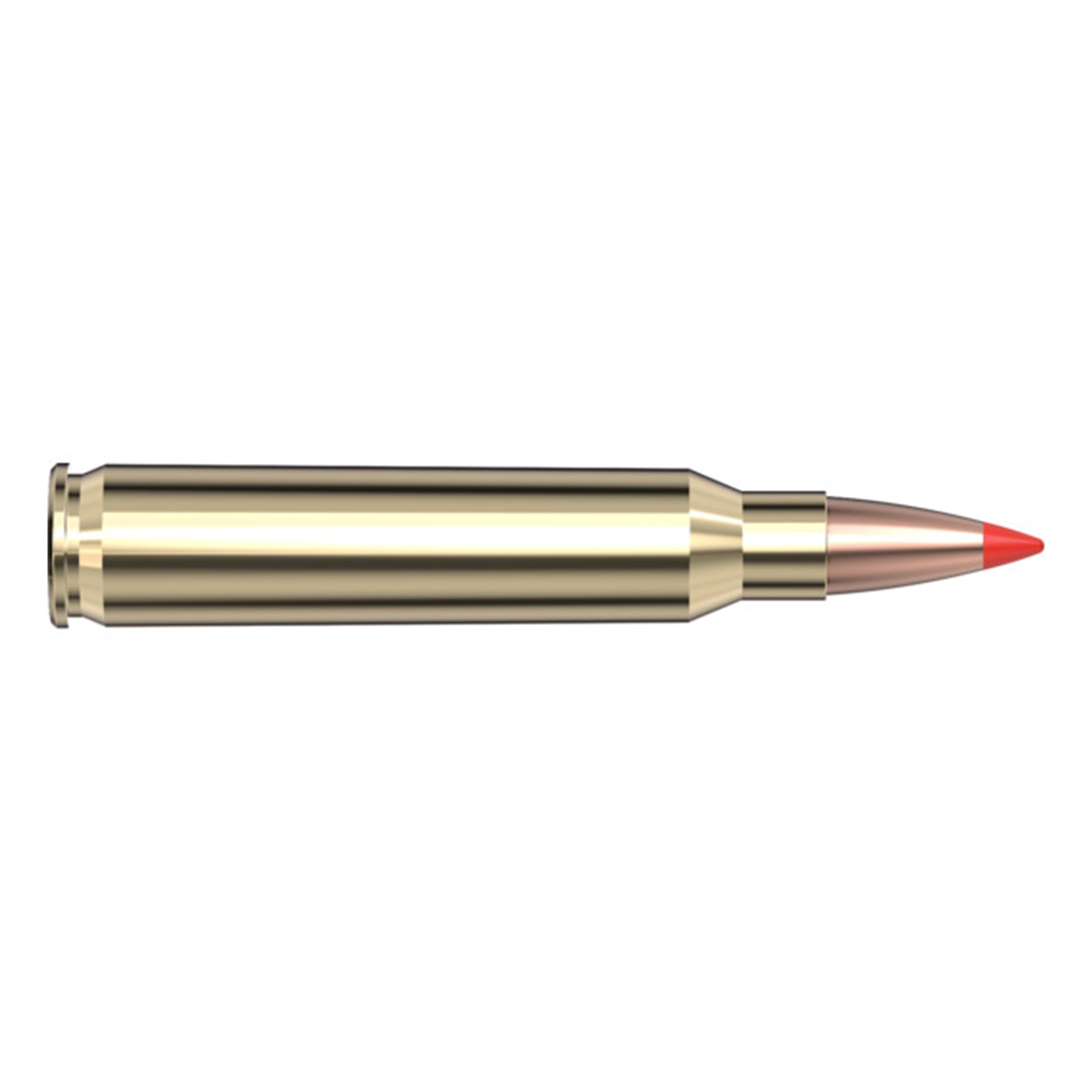 223 Rem 53gr V-Max SPF