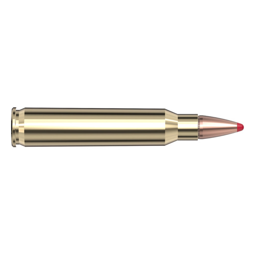 223 Rem 55gr SP