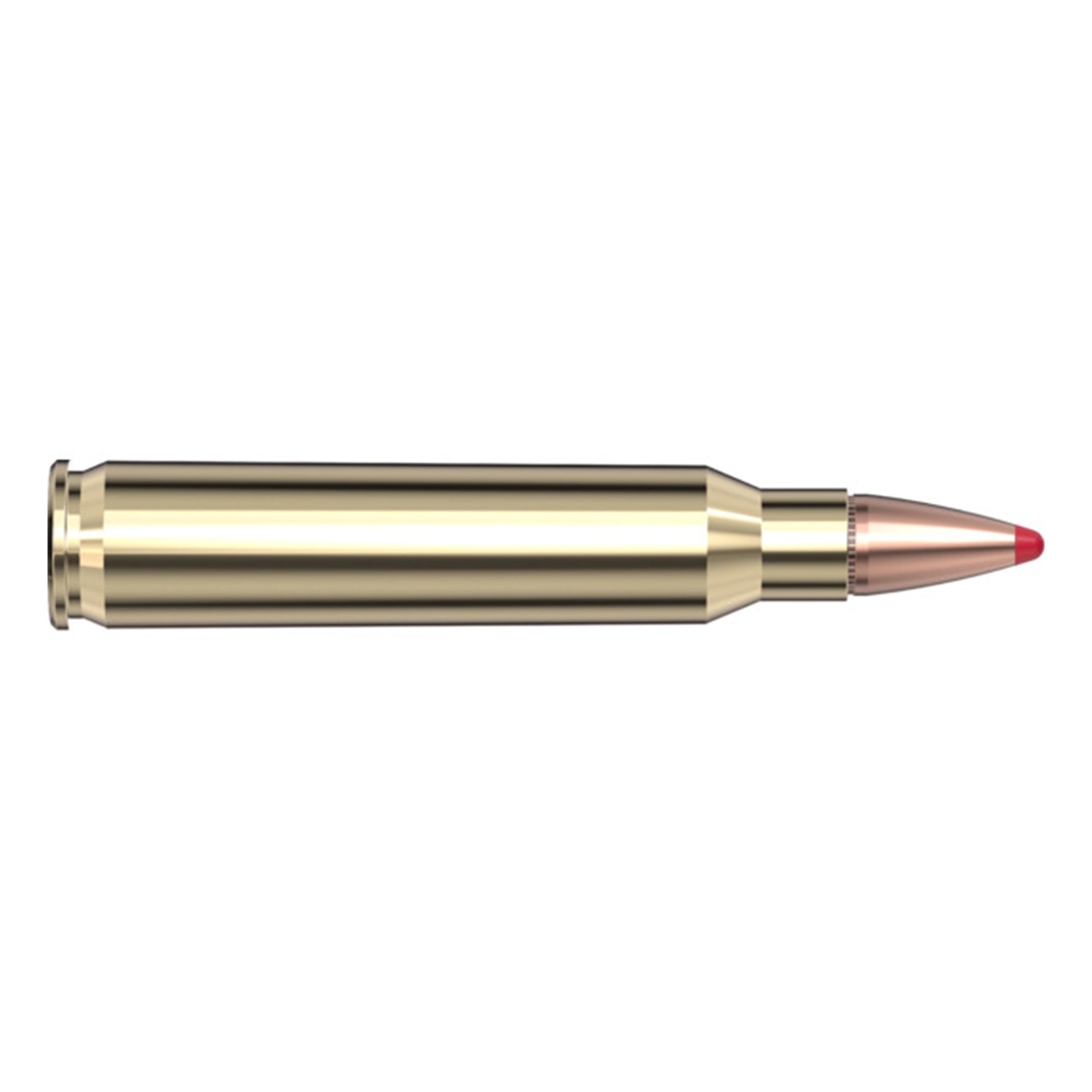 223 Rem 55gr SP