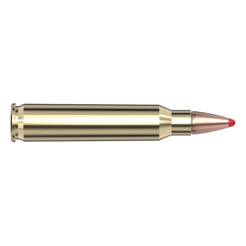223 Rem 55gr SP