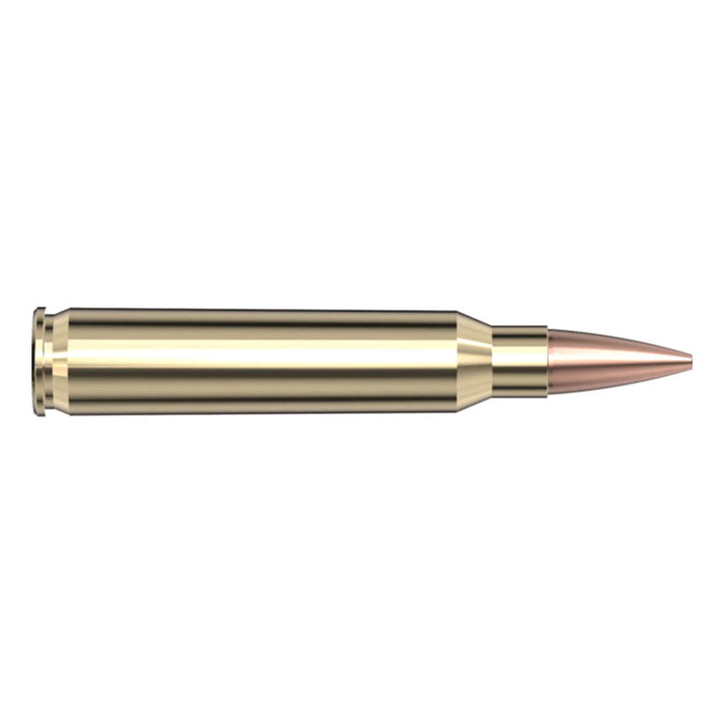 223 Rem 75gr BTHP Match
