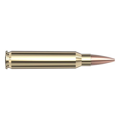 223 Rem 75gr BTHP Match