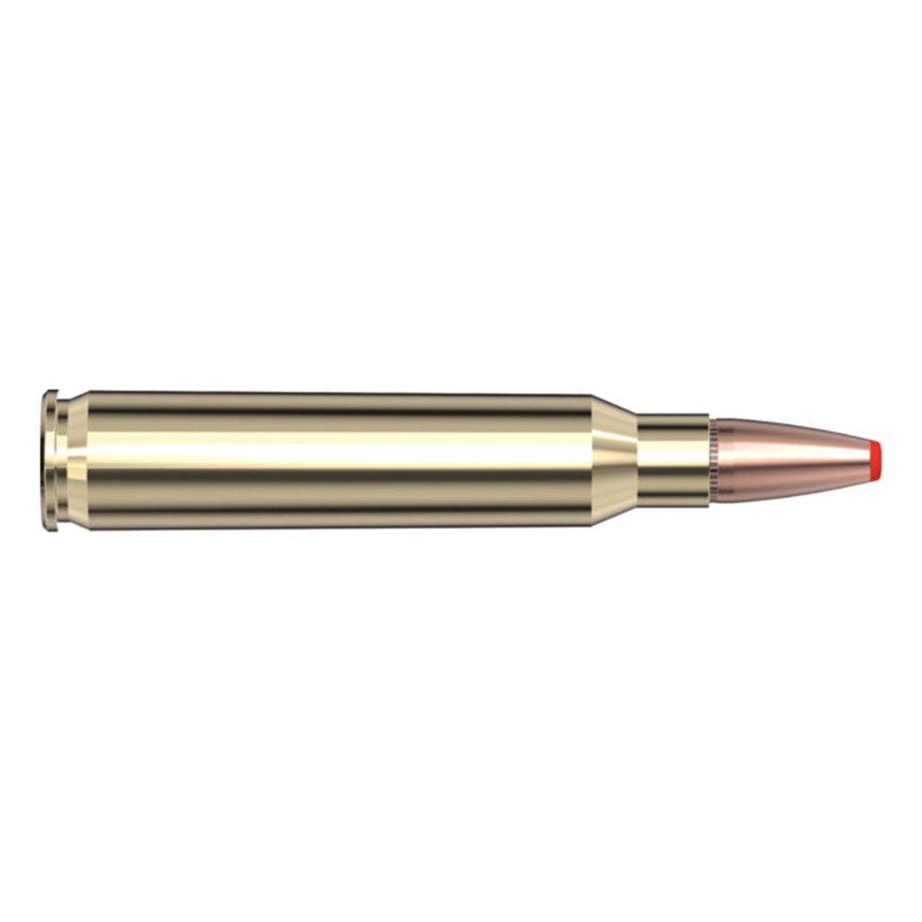 223 Rem 73gr FTX CD