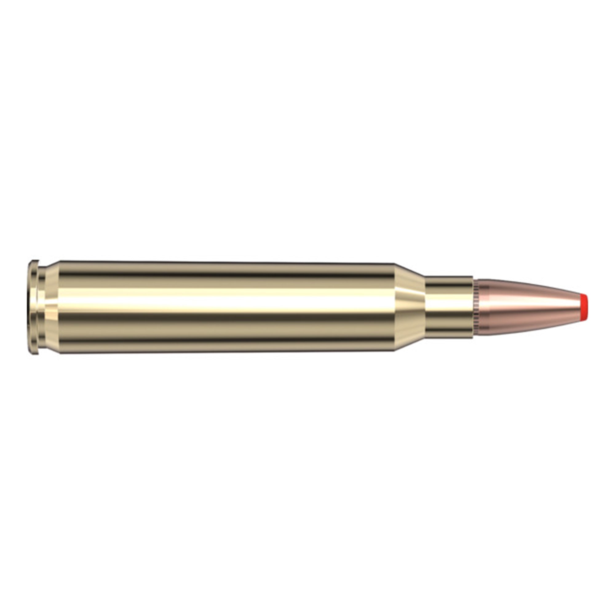 223 Rem 73gr FTX CD