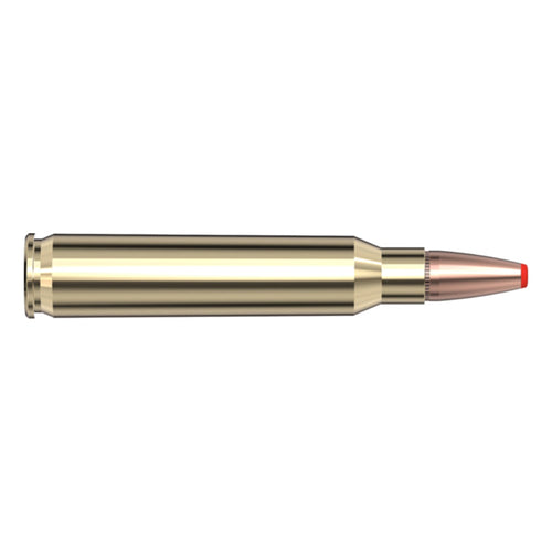 223 Rem 73gr FTX CD