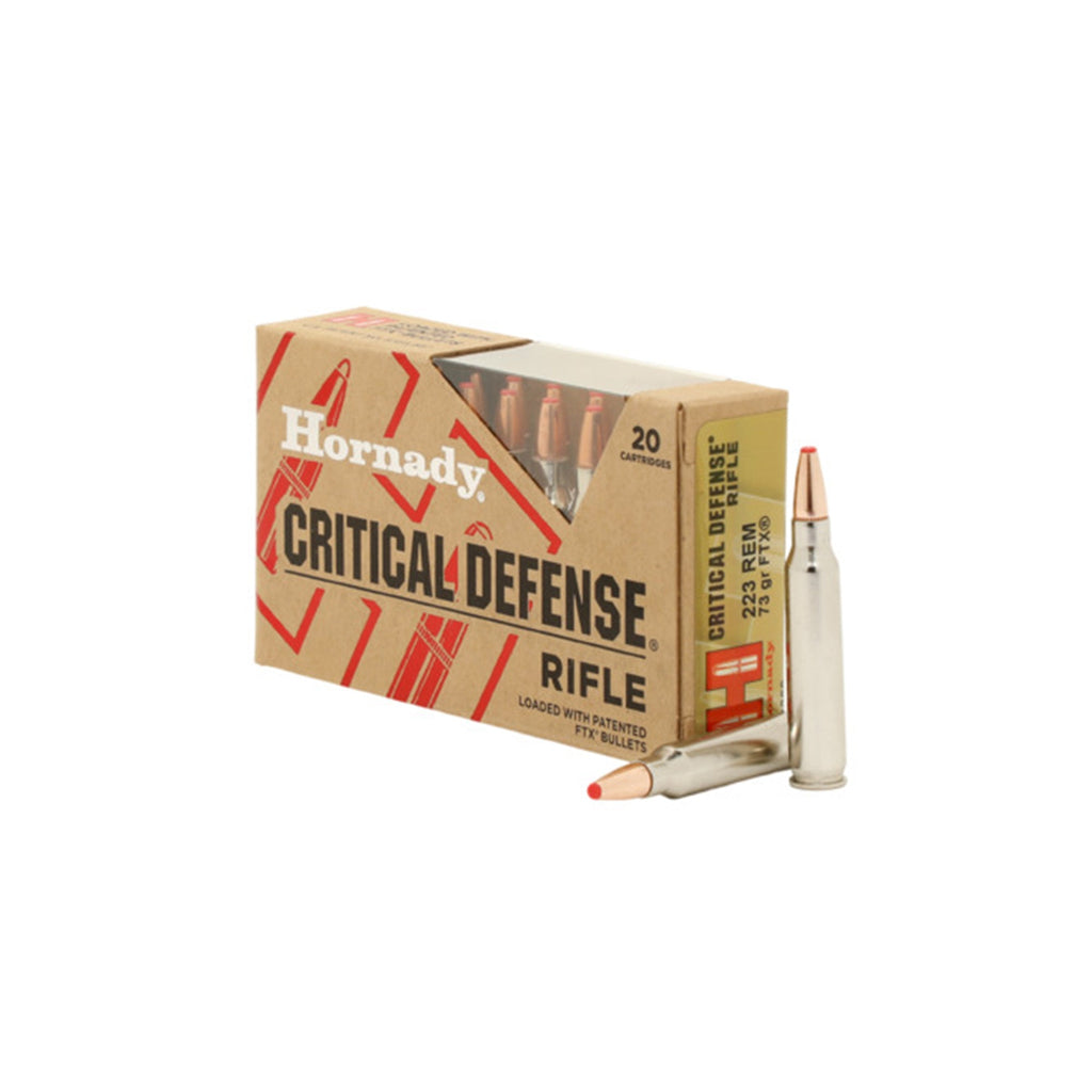 223 Rem 73gr FTX CD