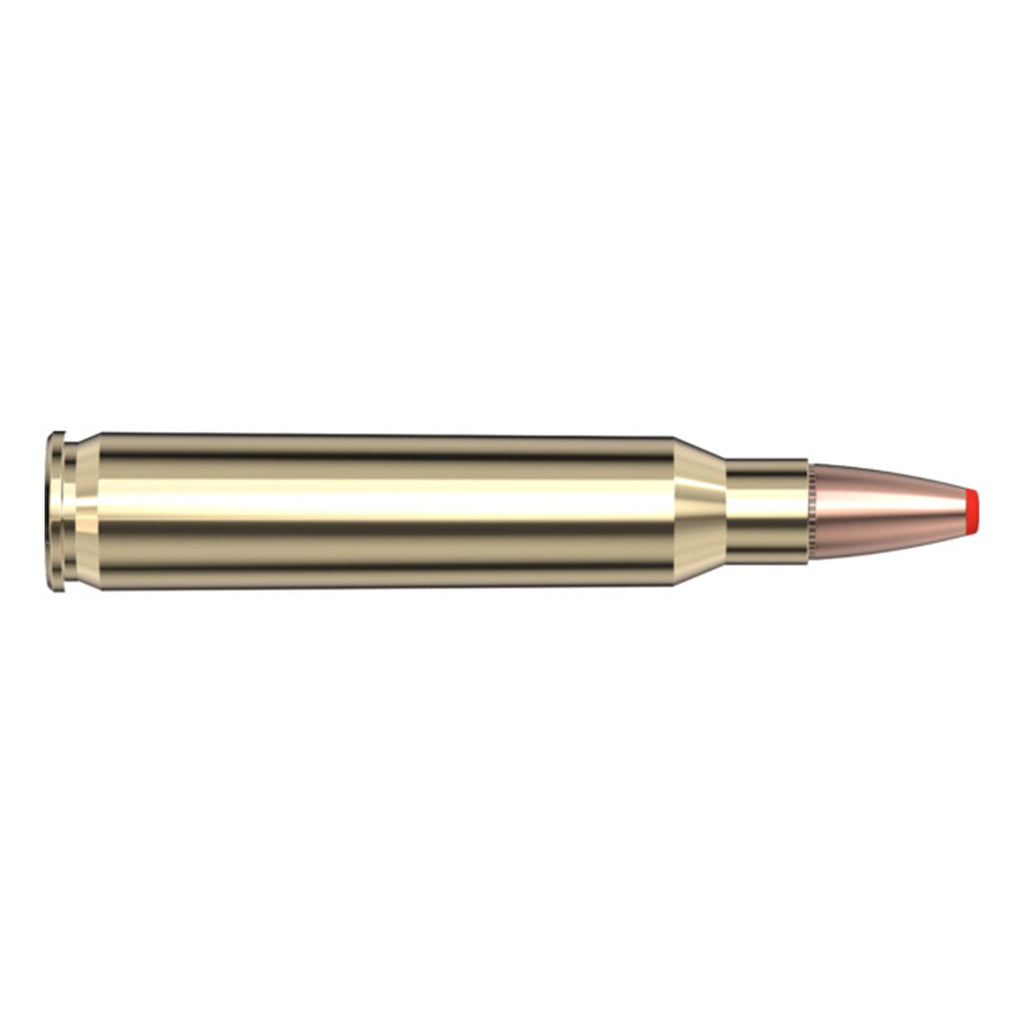 223 Rem 55gr FTX CD