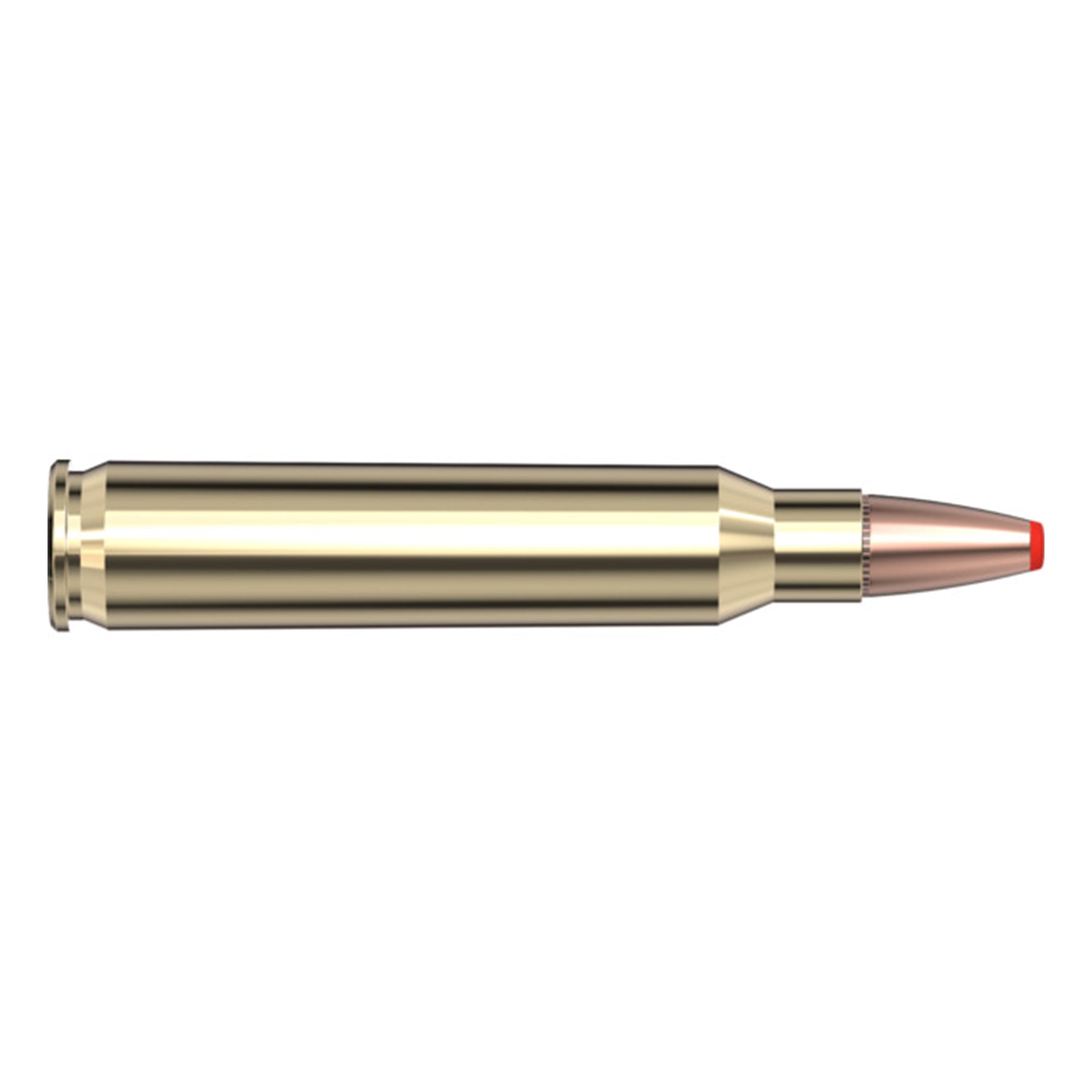223 Rem 55gr FTX CD