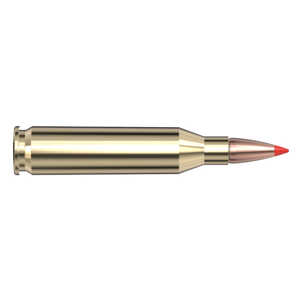 243 Win 95gr SST SPF