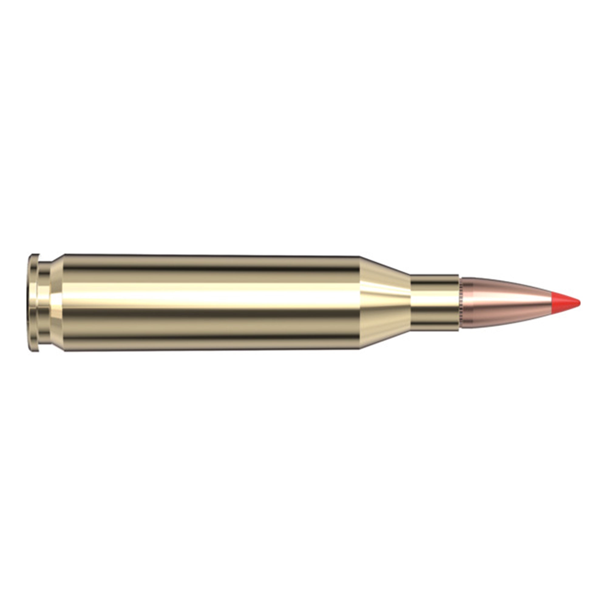 243 Win 95gr SST SPF
