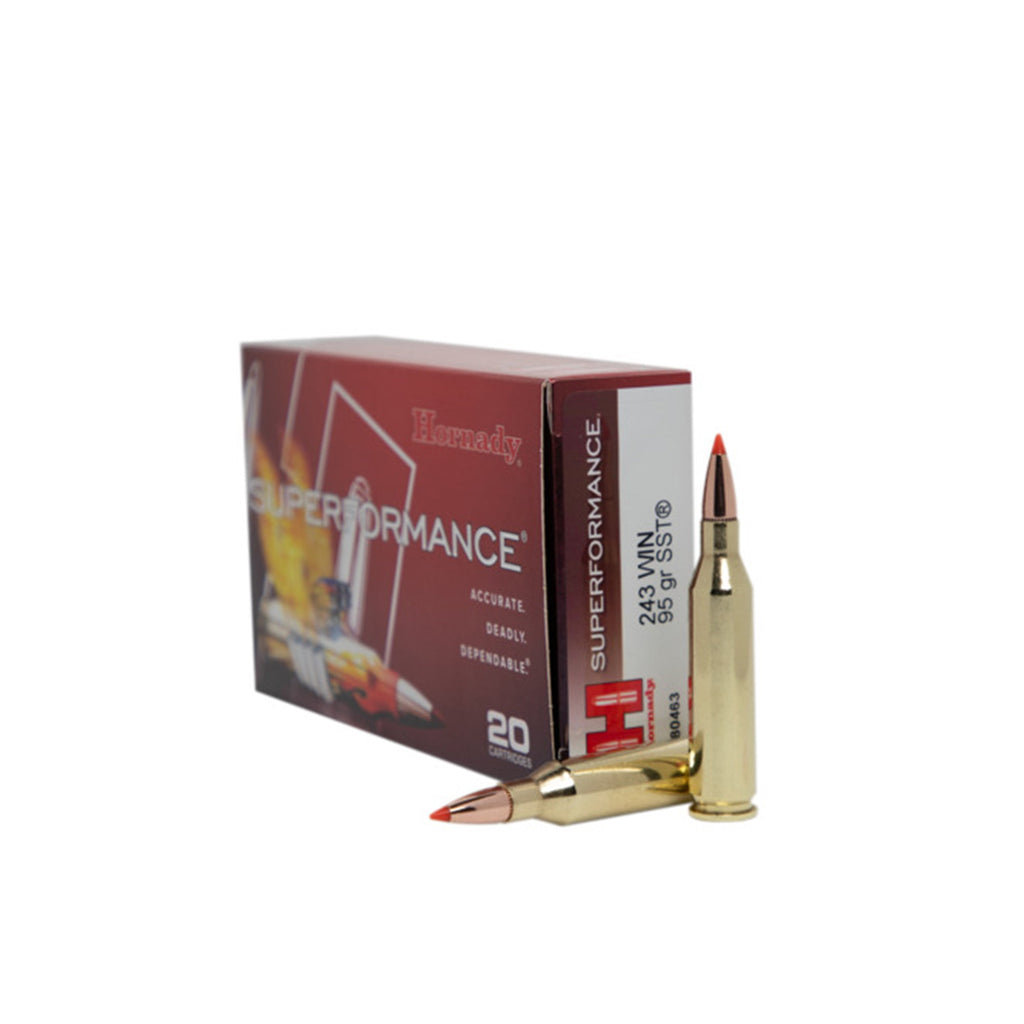 243 Win 95gr SST SPF