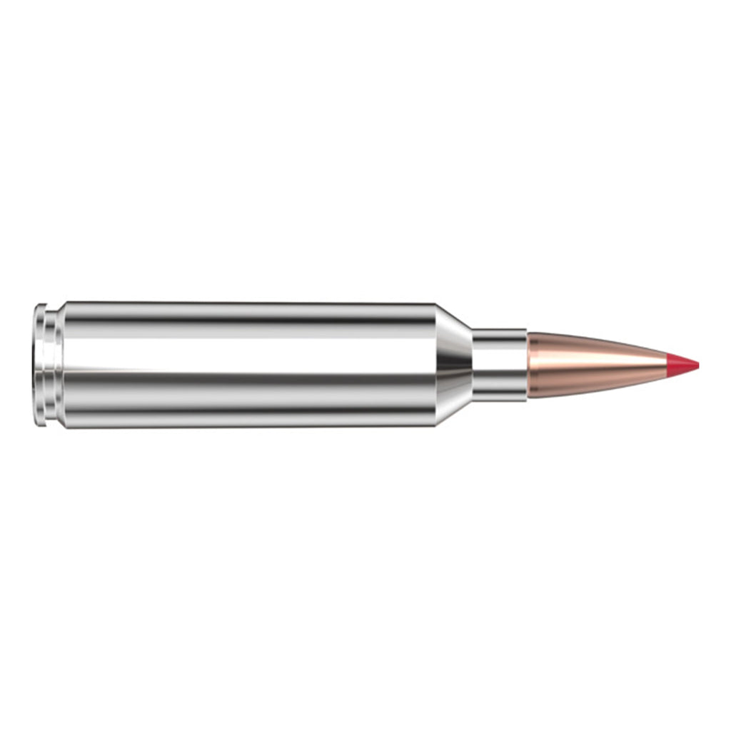 7mm Wsm 150gr CX OTF