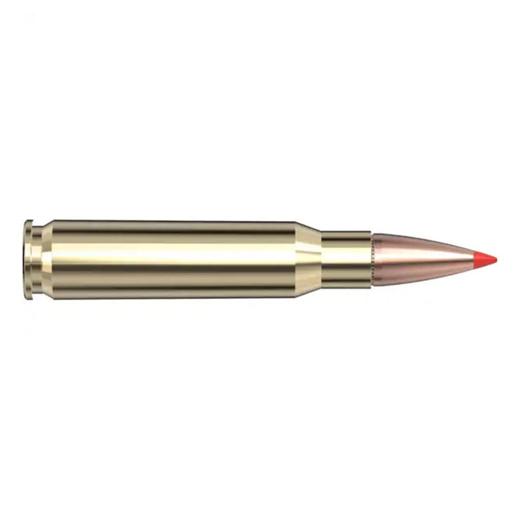 308 Win 125gr SST Lite
