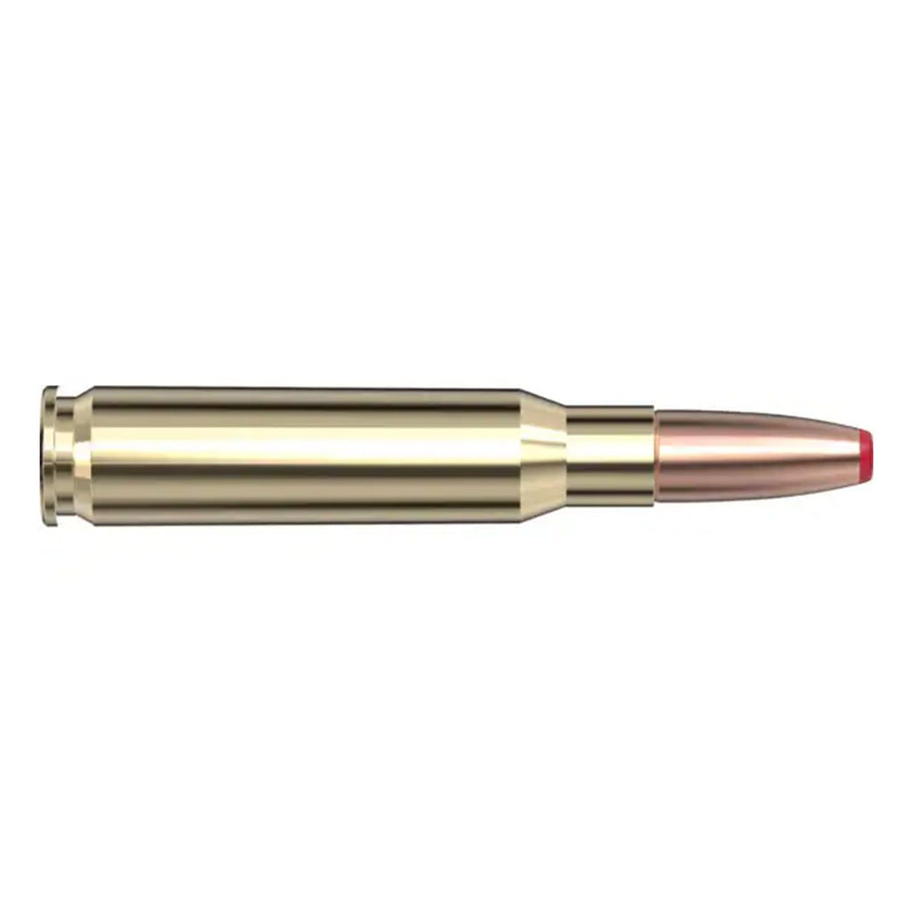 308 Win 125gr ECX