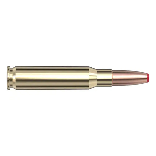 308 Win 125gr ECX