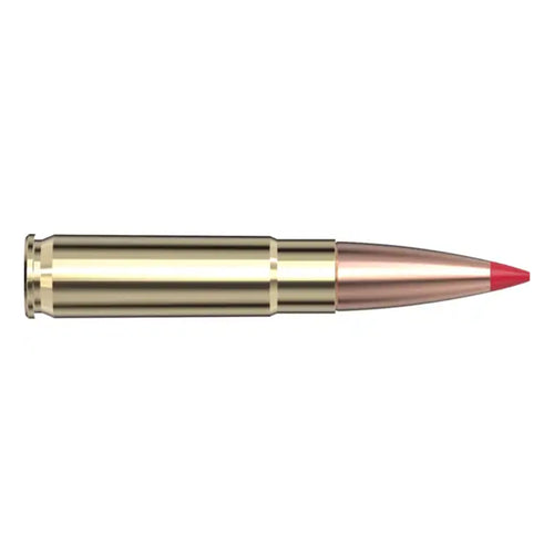 300 Blackout 110gr CX