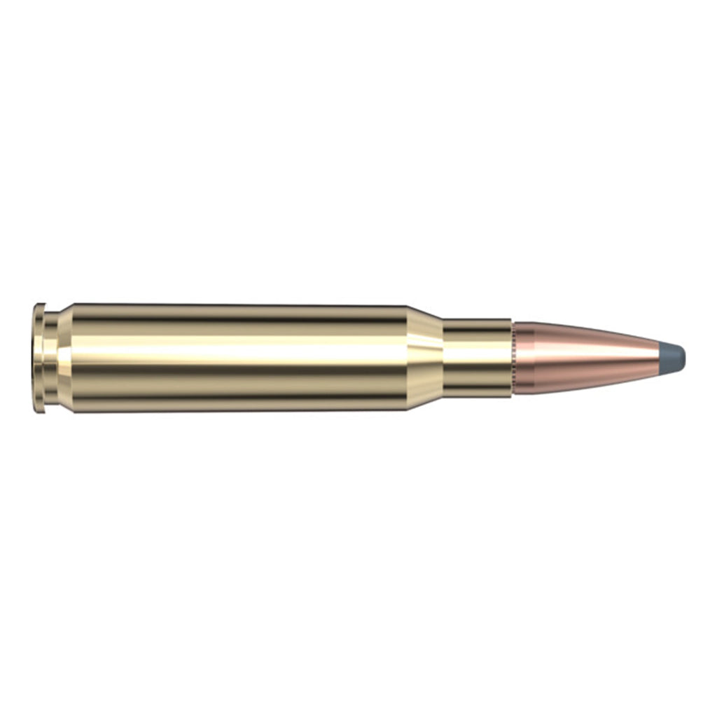 308 Win 165gr Interlock AW