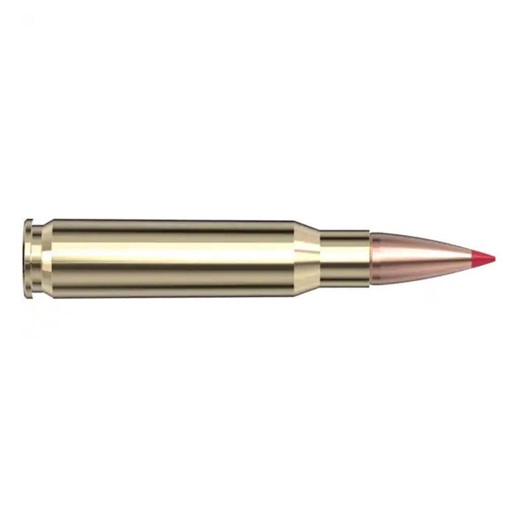 308 Win 150gr CX SPF