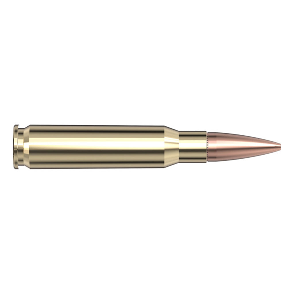 308 Win 155gr BTHP AG