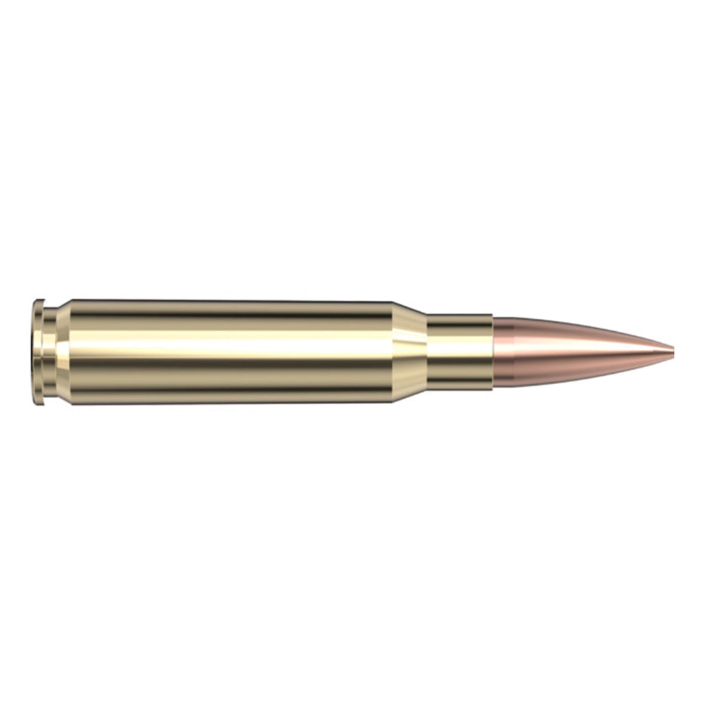 308 Win 168gr BTHP Match