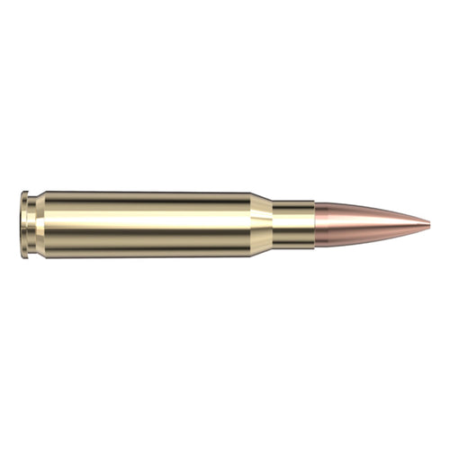 308 Win 168gr BTHP Match