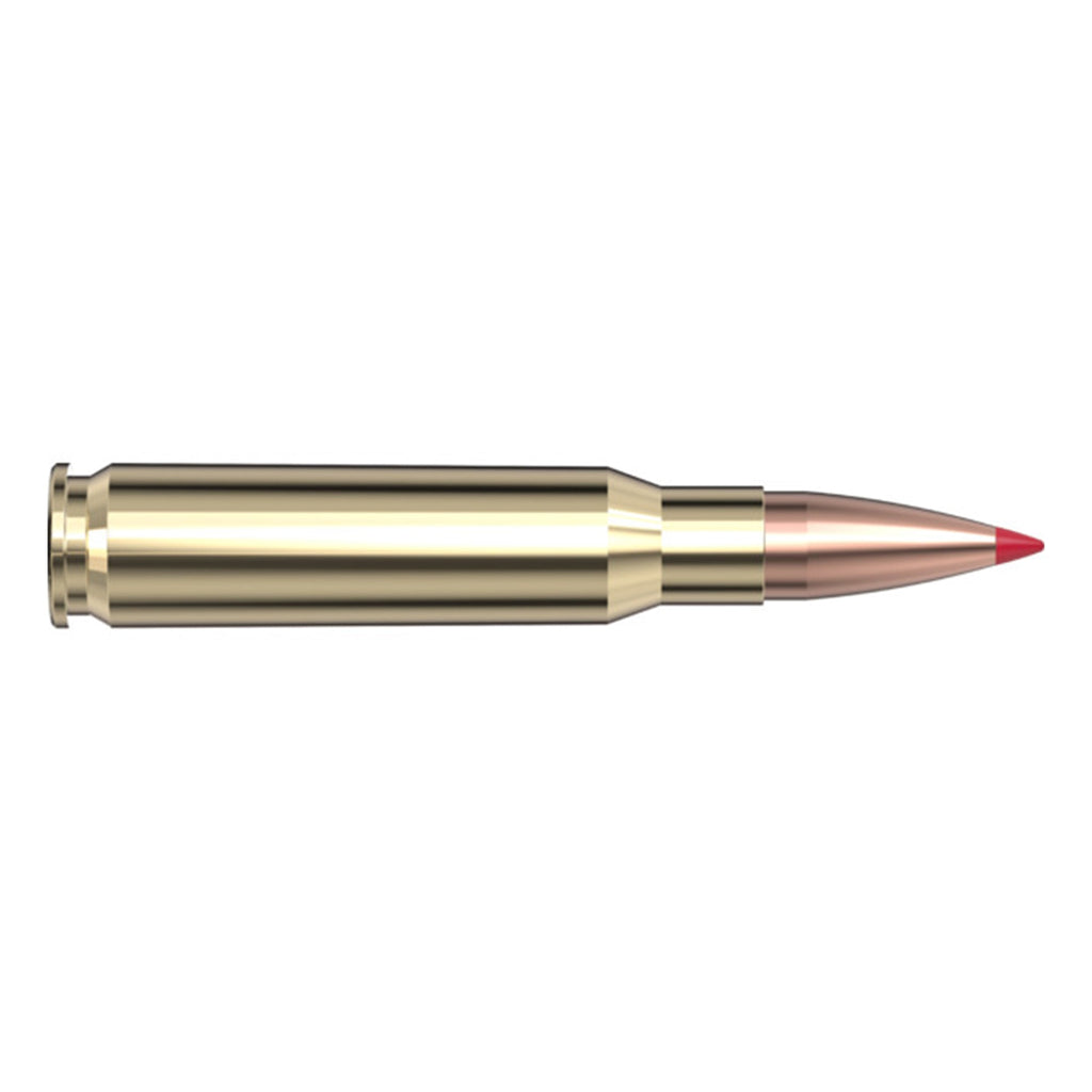 308 Win 168gr A-Max Black