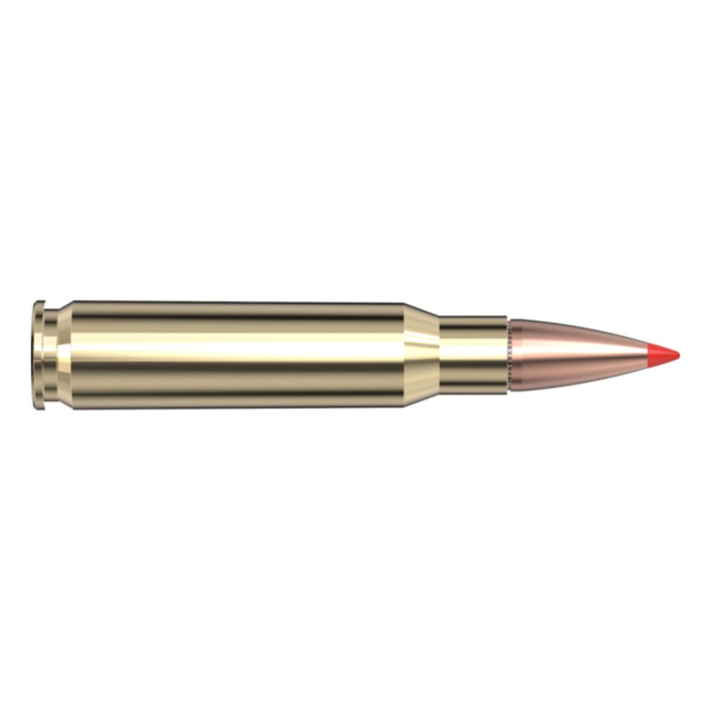 308 Win 165gr Sst SPF