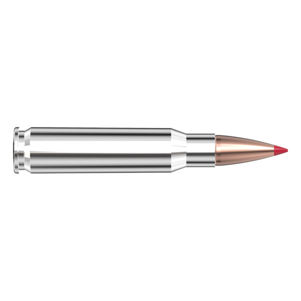 308 Win 165gr CX OTF