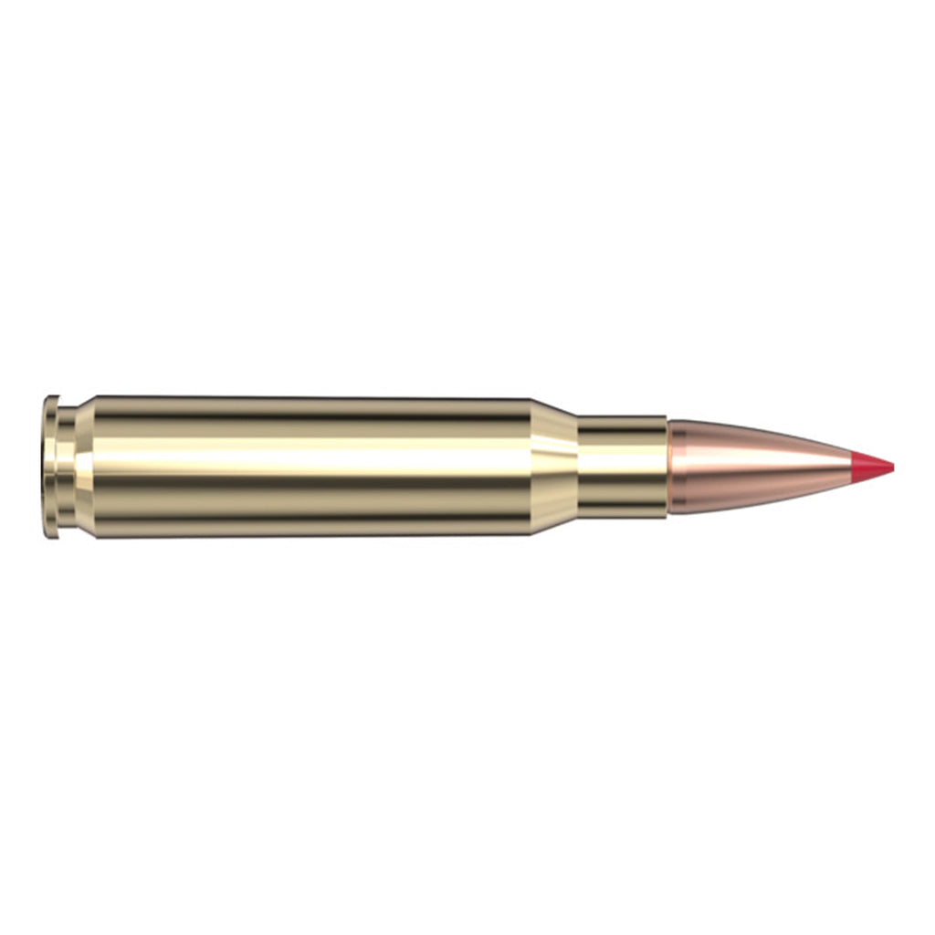 308 Win 165gr CX SPF