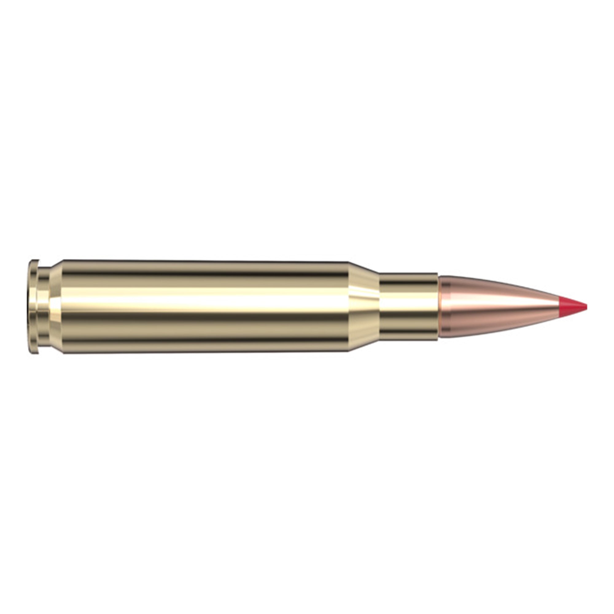 308 Win 165gr CX SPF