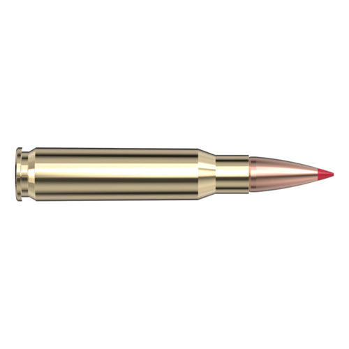 308 Win 165gr CX SPF