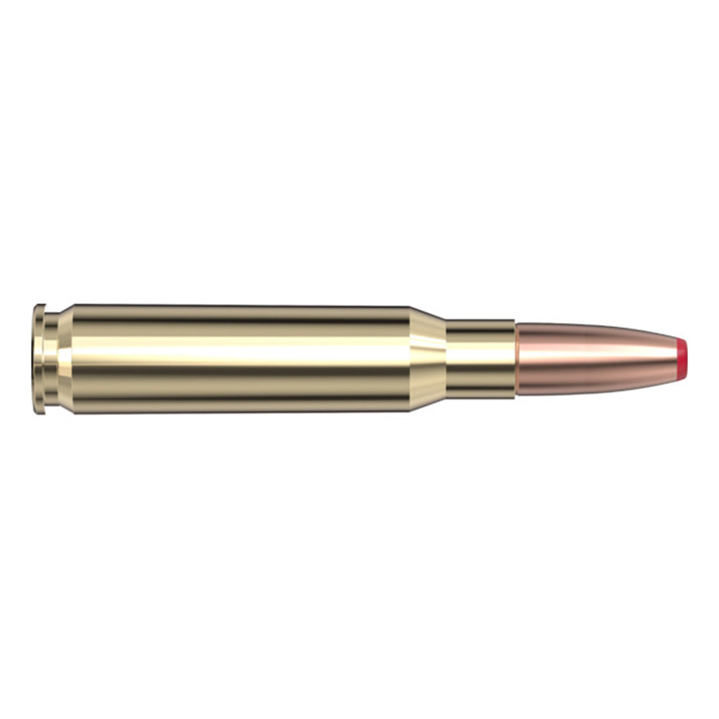 308 Win 165gr ECX