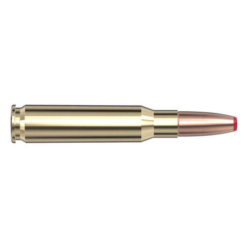 308 Win 165gr ECX