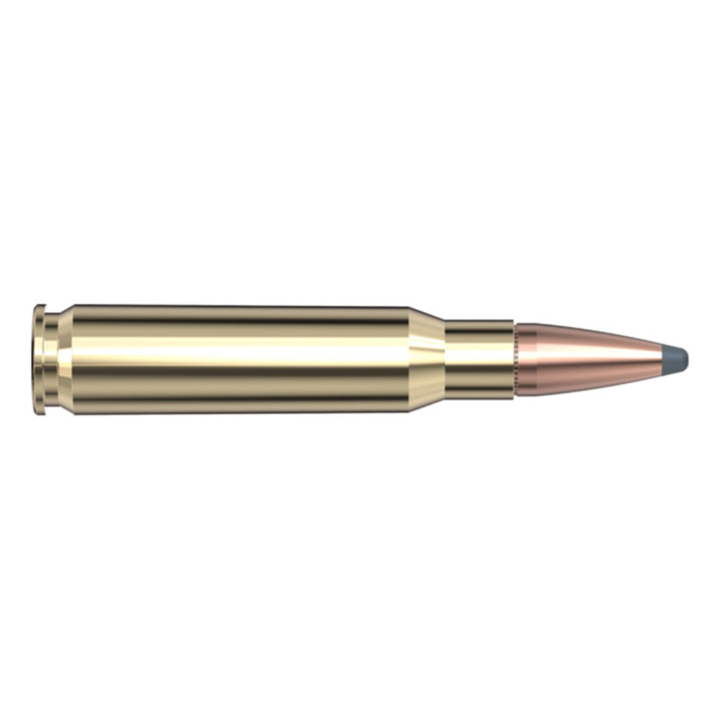 308 Win 180gr SP Intl