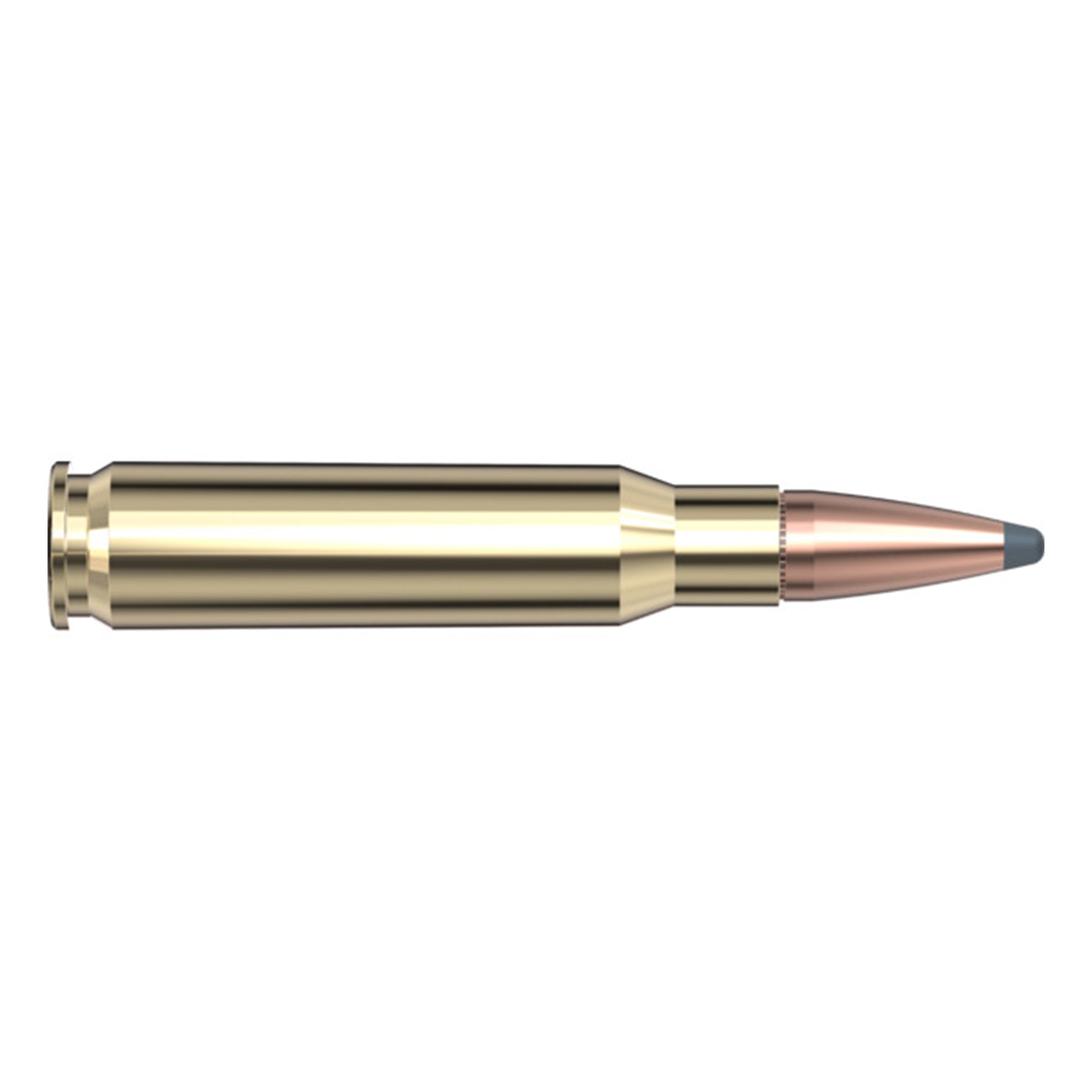 308 Win 180gr SP Intl