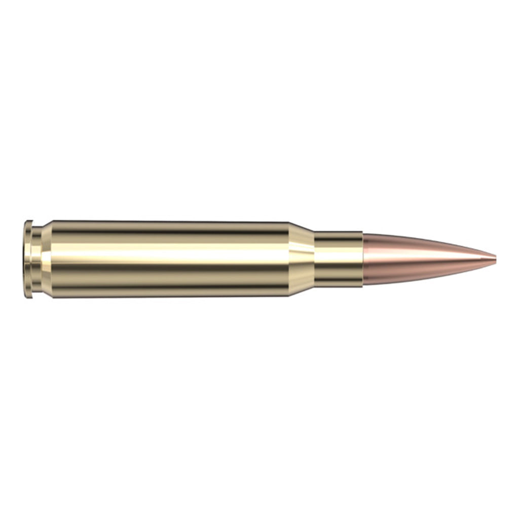 308 Win 178gr BTHP