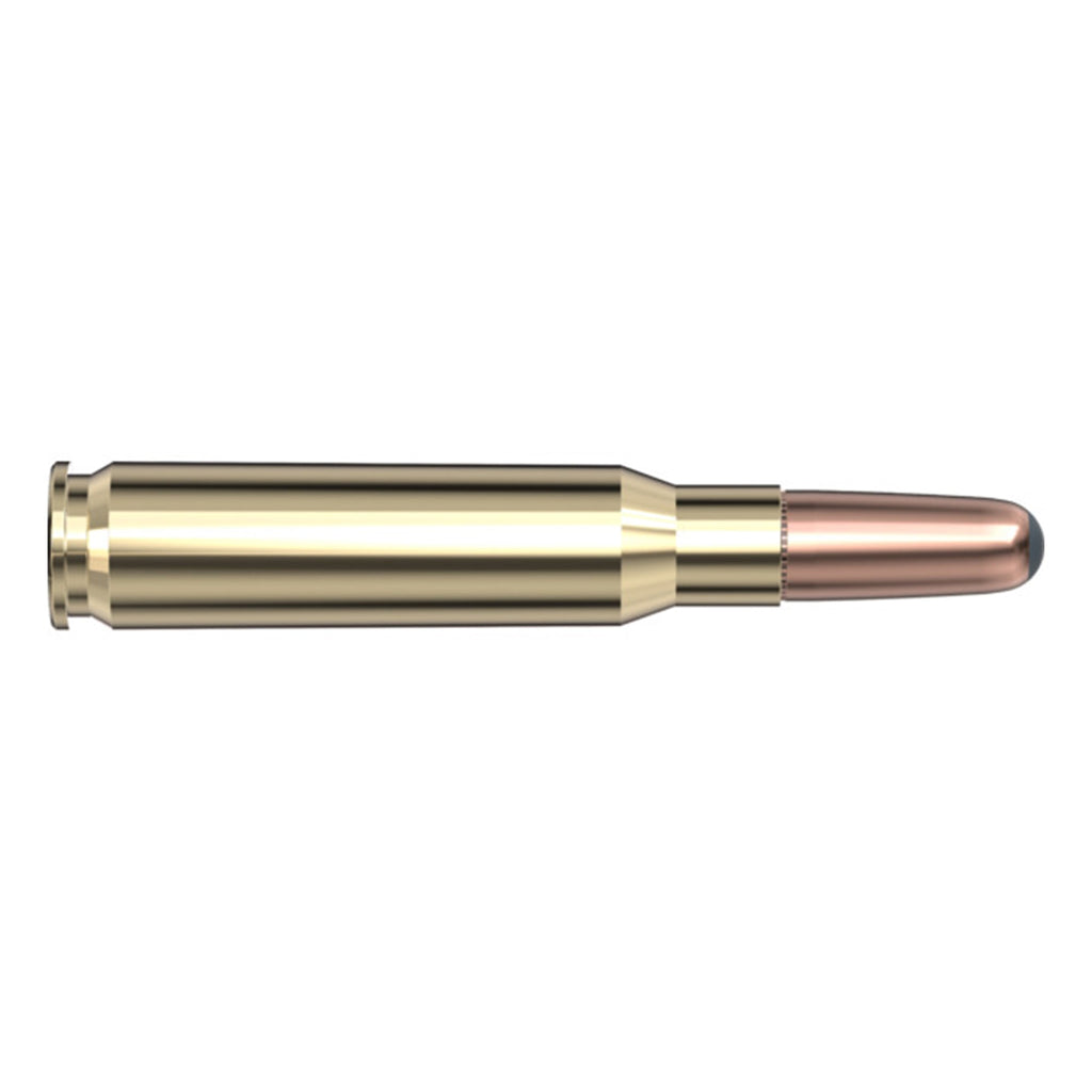 308 Win 220gr RN Intl