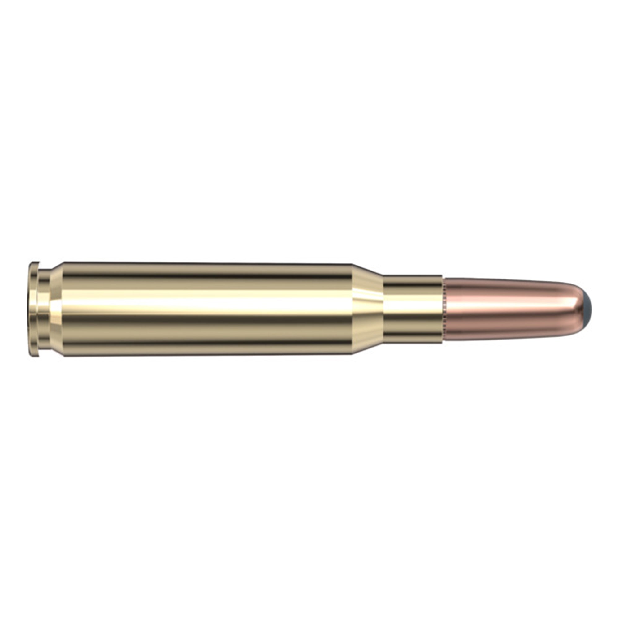 308 Win 220gr RN Intl