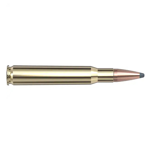30-06 SPRG 180gr SP INT