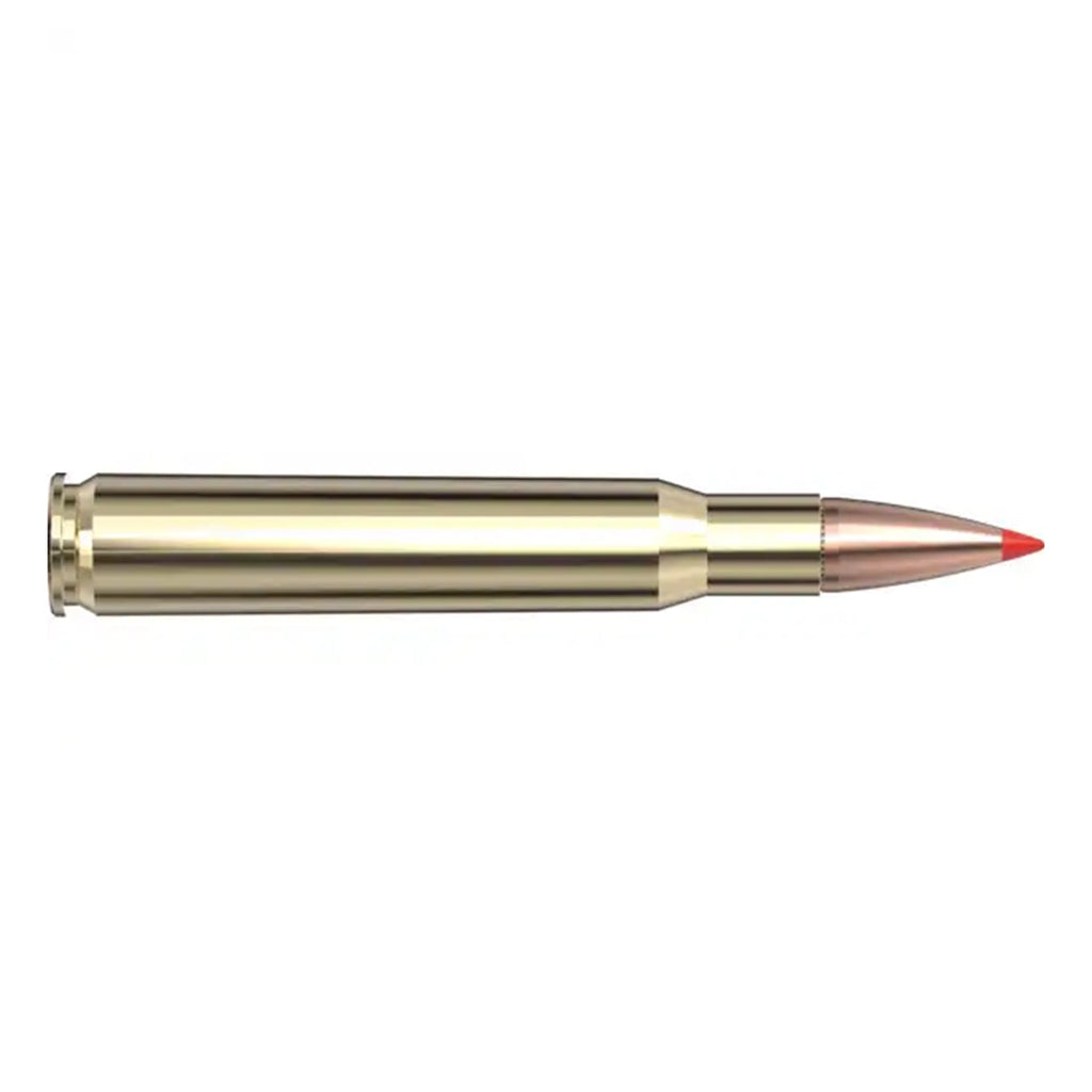 30-06 SPRG 180gr SST SPF