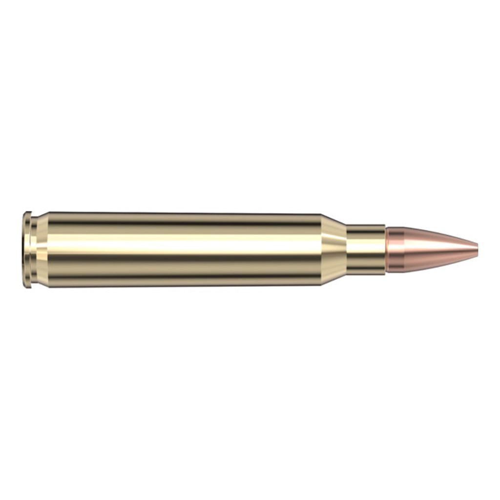 5.56 Nato 55gr CX SPF