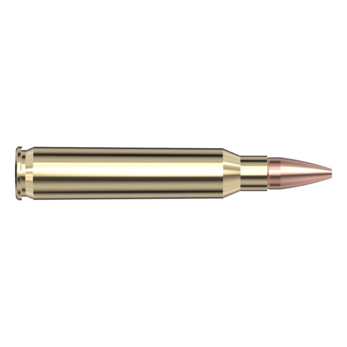 5.56 Nato 55gr CX SPF